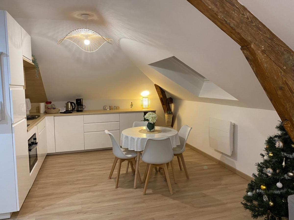 Appartement Chez Gustave T2, 4 Min Place Ducale